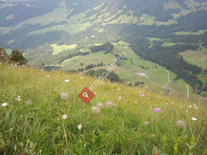 Haus Kammern 168 vacation rentals