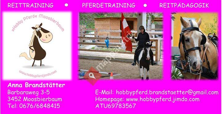 Hobby Pferd im Bezirk Tulln/ Moosbierbaum - Atzenbrugg