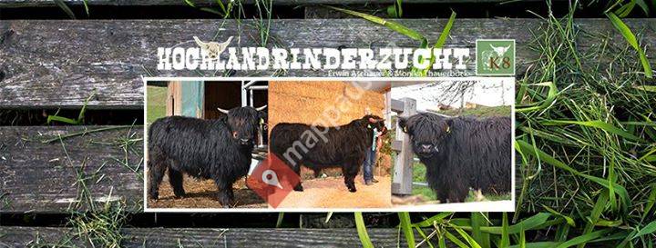 Hochlandrinderzucht K8 / Erwin Aschauer/ Monika Thauerböck