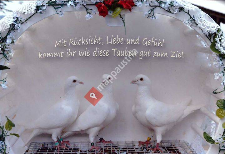 Hochzeitstauben Marchat
