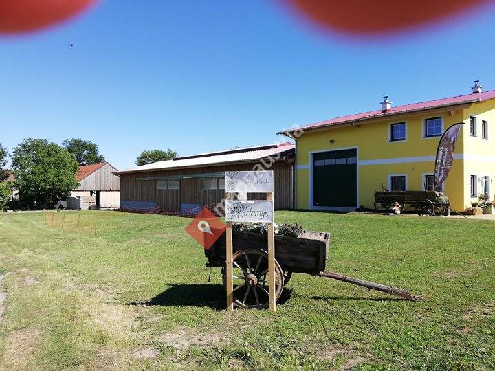 Hofladen Anzböck