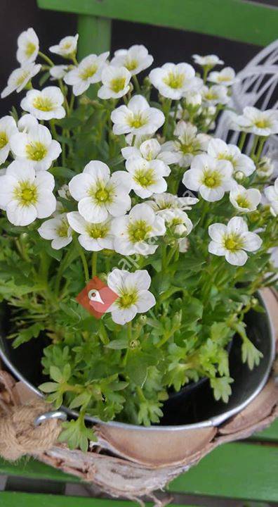 Hofladen mit Kreativität