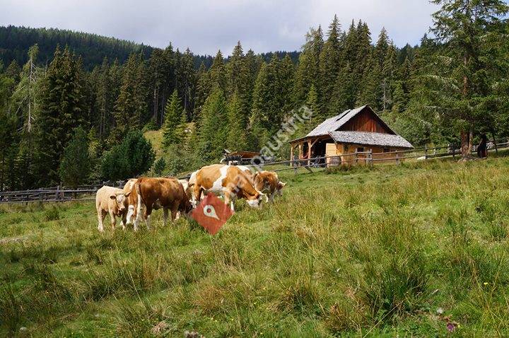 Hoisbauer Hütte