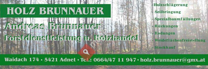 Holz Brunnauer