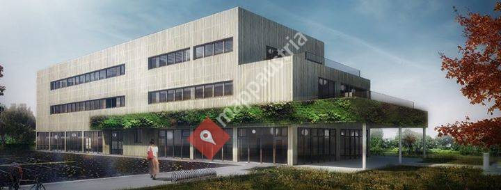 Holzhaus E1NS