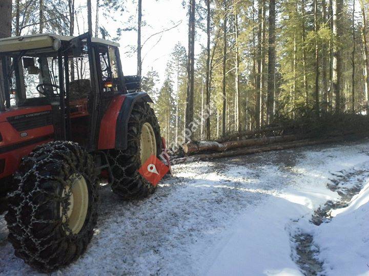 Holzschlägerung - bringung  Hafner
