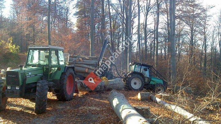 Holzschlägerung u. Bringung Gruber
