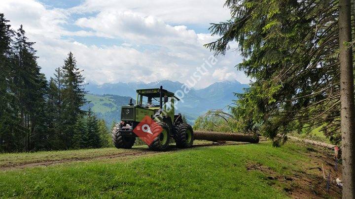 Holzschlägerungen Wilhelm