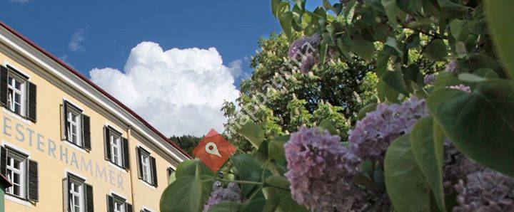 Hotel Gasthof Esterhammer