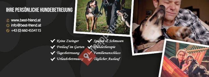 Hundebetreuung 