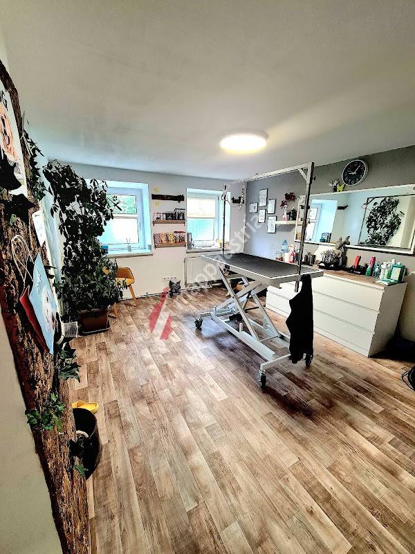 Hundefriseur Hager Simone