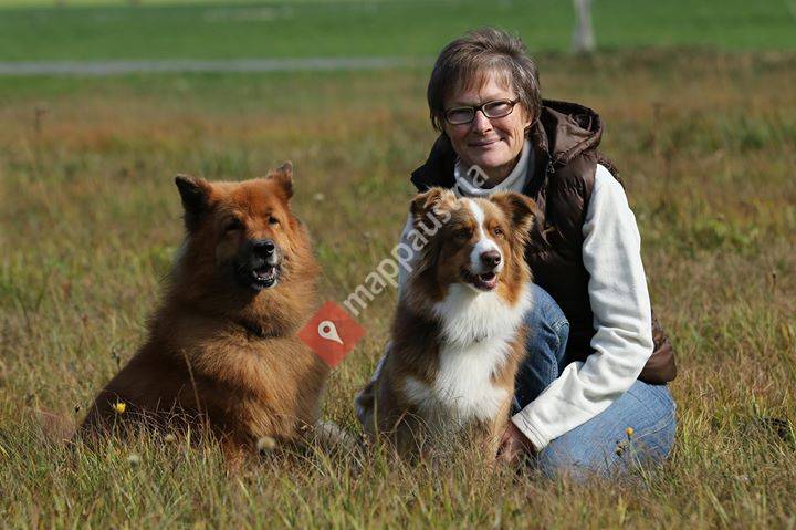 Hundeglück - Harmonie zwischen Mensch und Hund