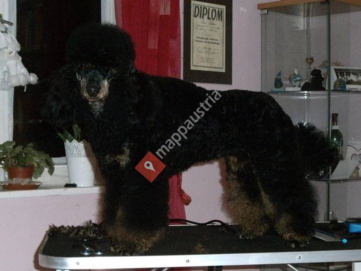 Hundesalon Lena