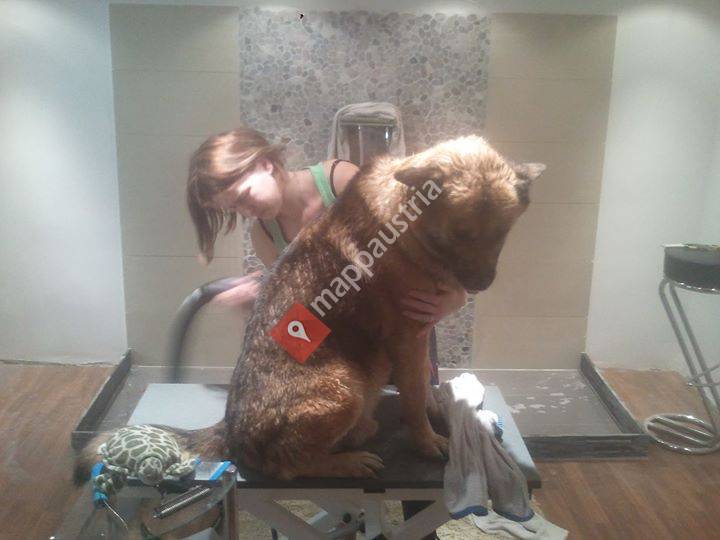 Hundesalon Styling Oase