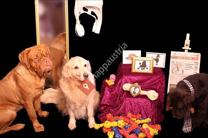 Hundesalon & Verhaltensberatung Kerstin Böhm