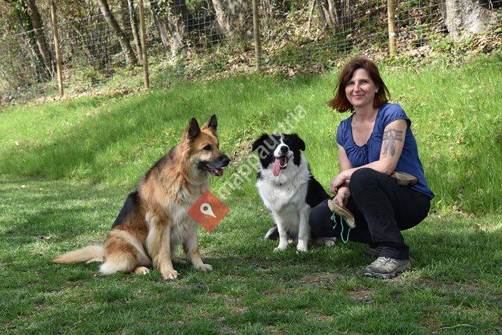 Hundeschule Romana Bagby