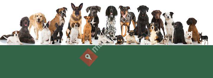 Hundesportverein Satteins - Walgau