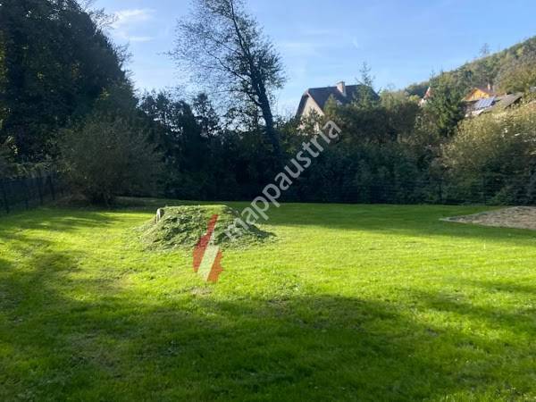 Hundezone Eichgraben