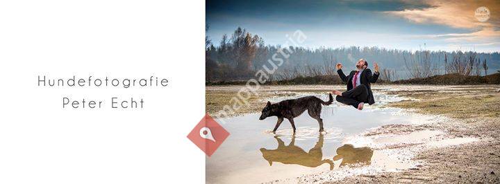 Hundomomento - Hundefotografie Peter Echt