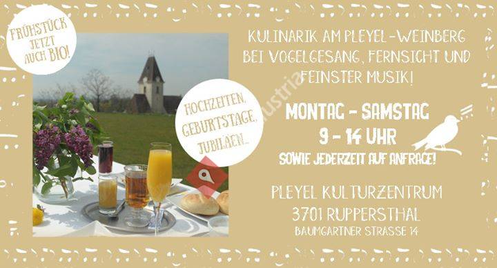 Ignaz Joseph Pleyel - Museum