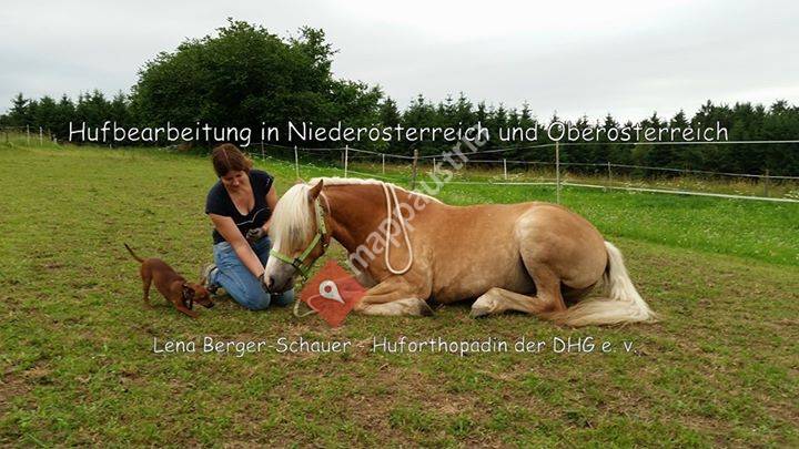 Individuelle Barhufbearbeitung für dein Pferd - NÖ und OÖ
