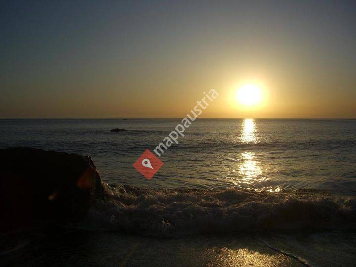 Institut Energie und Lebensfreude