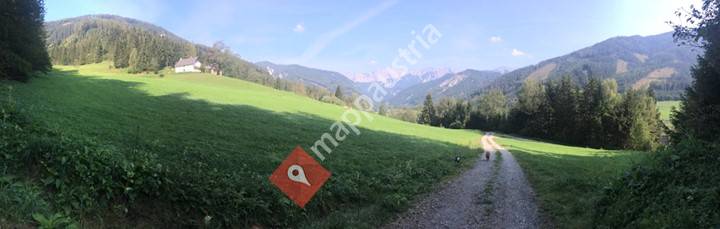Kohlhammer