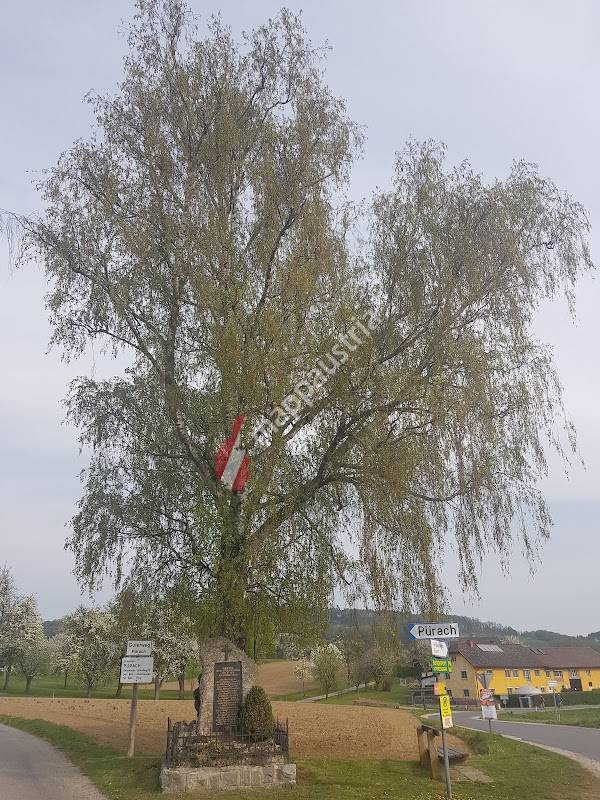 Kriegerdenkmal