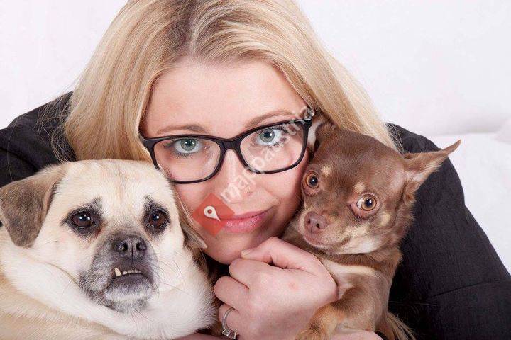 Kristinas Hundesalon