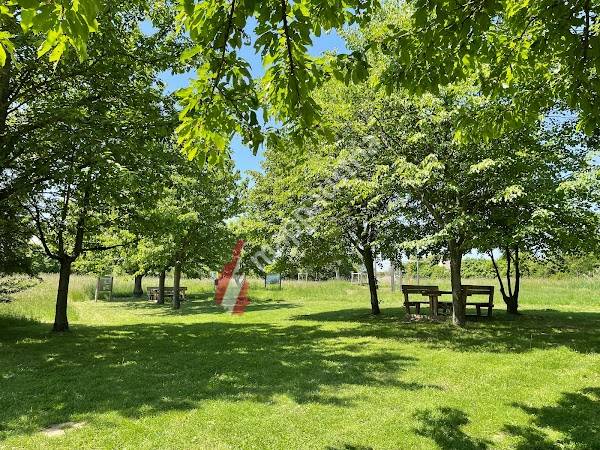 Landschaftsteich Hörersdorf