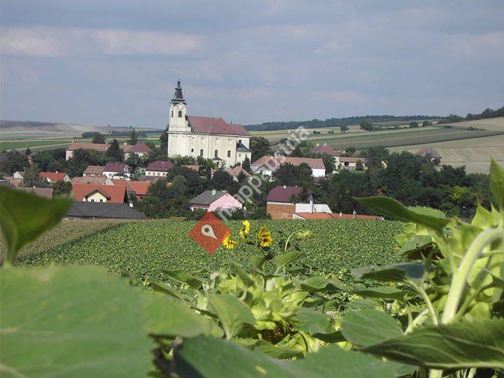 Marktgemeinde Niederhollabrunn