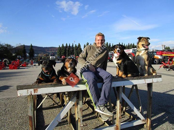 MAX Beziehungskompetenz zwischen Mensch und Hund
