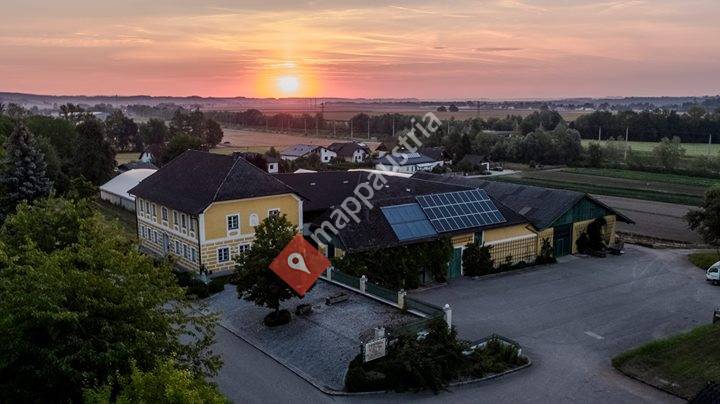 Meindlhof - natürlich Gemüse