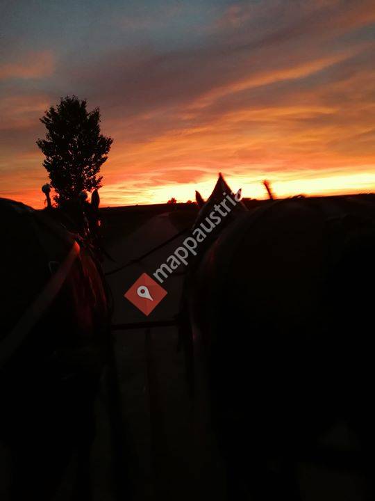 Michael Gindl Weingut und Demeterhof