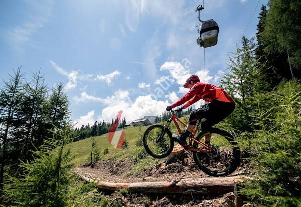MTB ZONE Bikepark Petzen