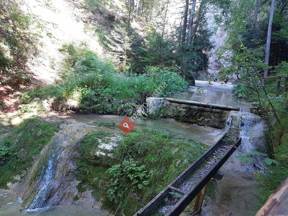 Mühlenwanderweg Ebenau