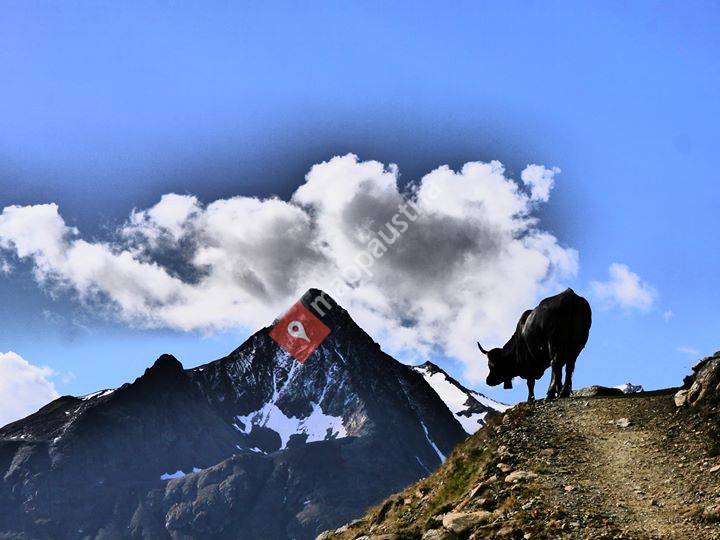 Natur & Alpinhotel Post