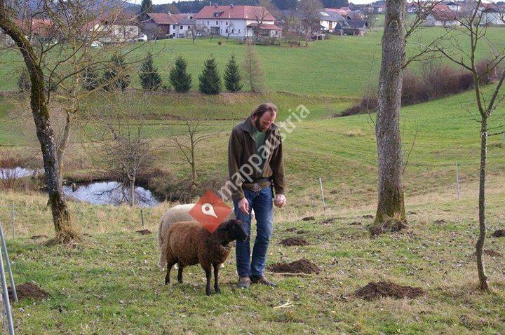 Natur Tier Mensch Akademie
