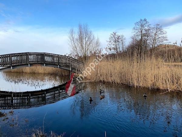 Naturerlebnisweg Obertrum