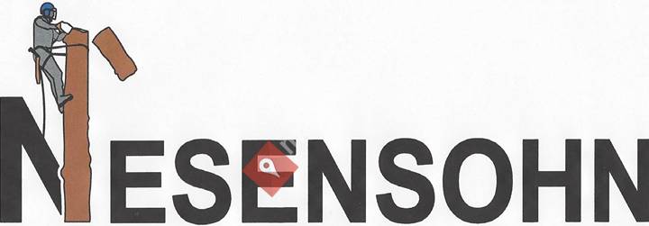 Nesensohn Spezialfällung - Forstarbeiten