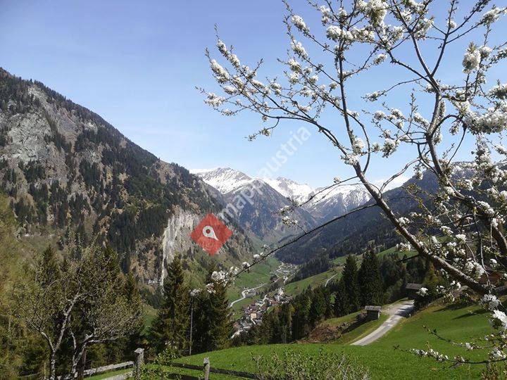 Neuhaus - Urlaub am Bauernhof