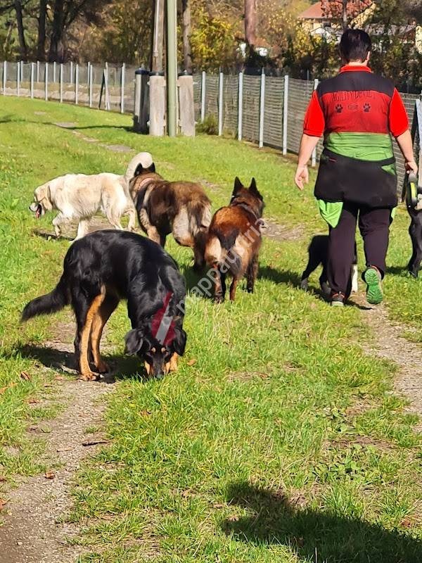 ÖRV Hundesportverein Klagenfurt am Wörthersee