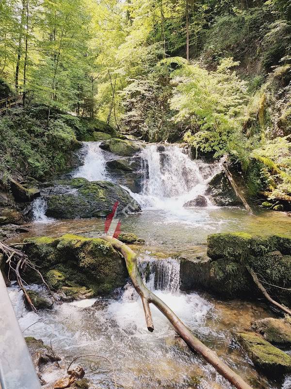 Pfisterbach Wasserfälle
