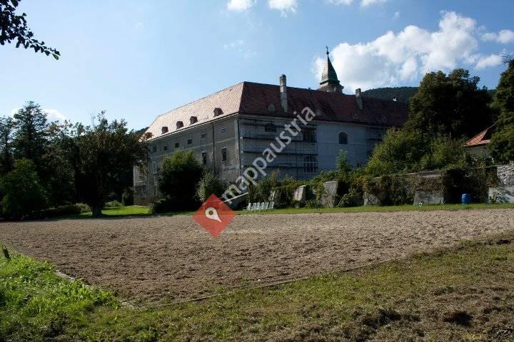 Pony-Team Schloss Strelzhof