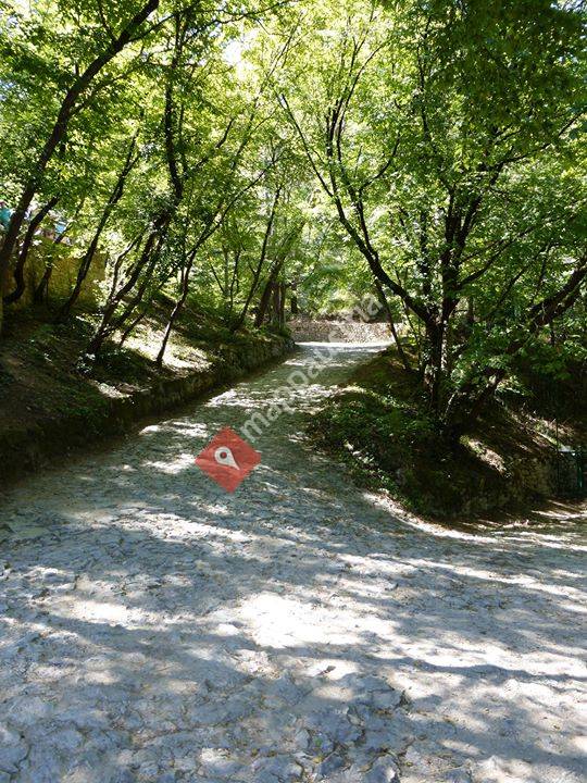 Praxis für Psychotherapie Tamara Andrich- Kerschenbauer