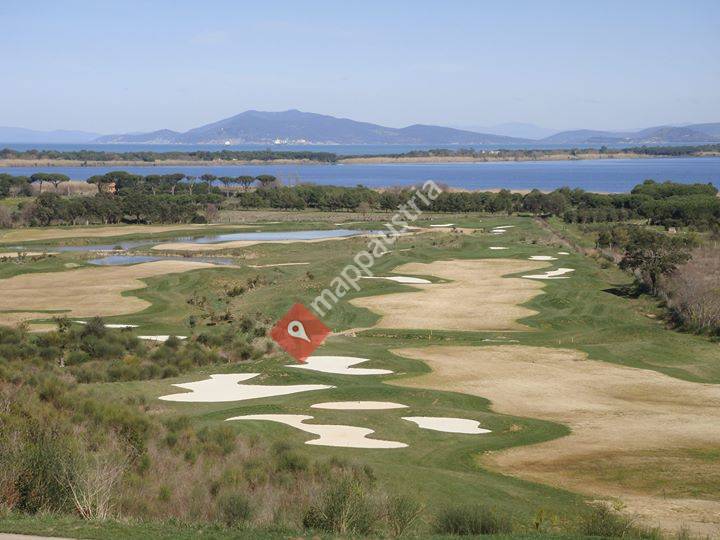 Professional Golf