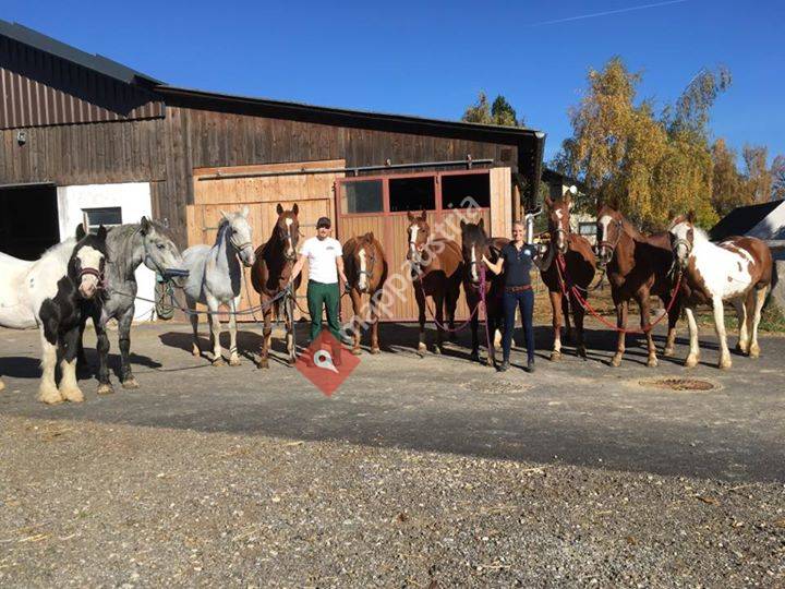 Reitsportzentrum Pany