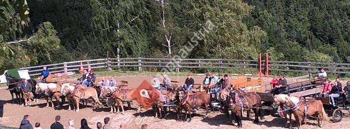 Reitstall Schneeberger