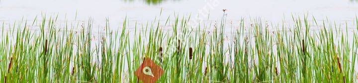 Relax Fischerparadies - Fischteich Klein-Engersdorf