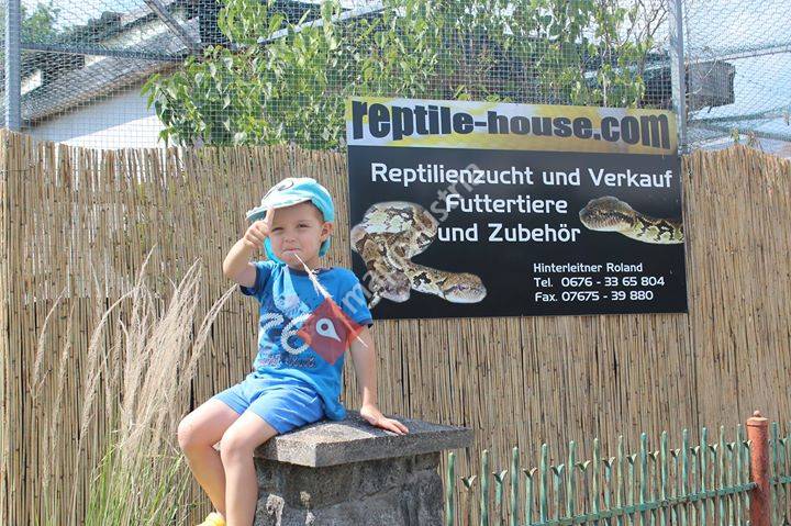 reptile-house.com